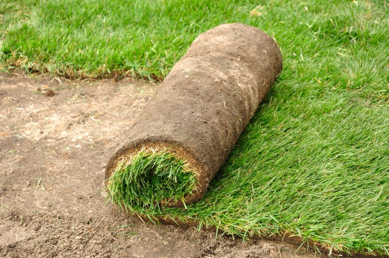 Fescue Sod Installation in Aiken, SC