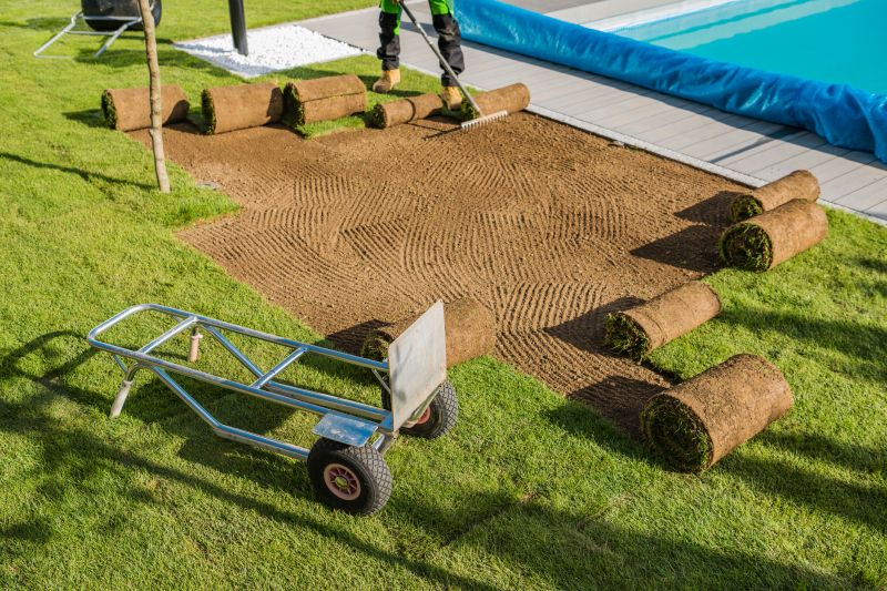 Sod Replacement in Rockwall, TX