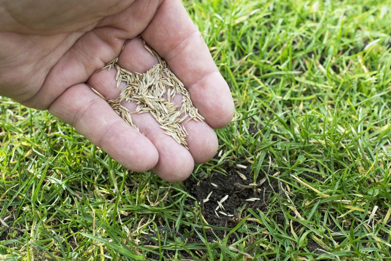 Yard Overseeding in Ventura County, CA