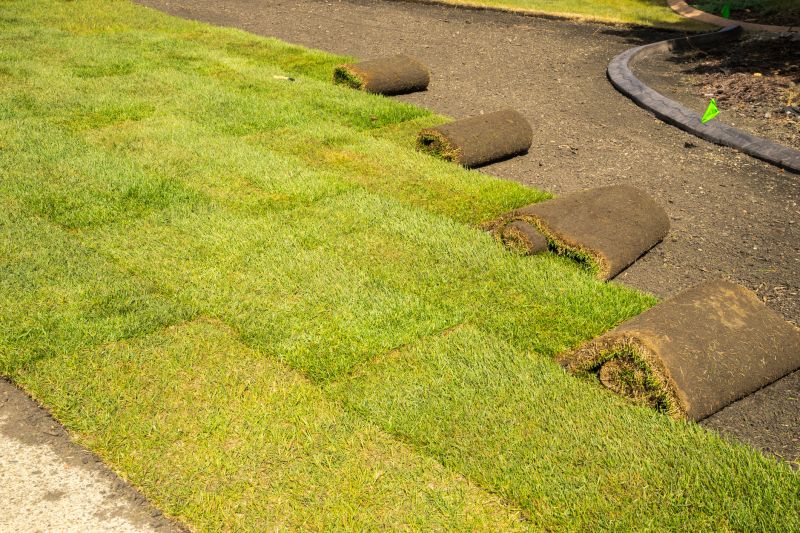 Bermuda Grass Installation in Rockwall, TX
