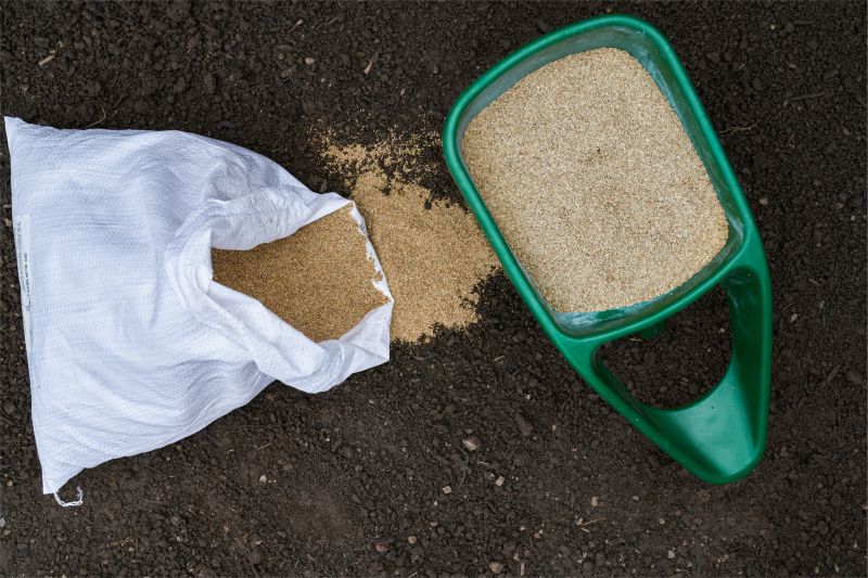 Bermuda Grass Seeding in Ventura County, CA