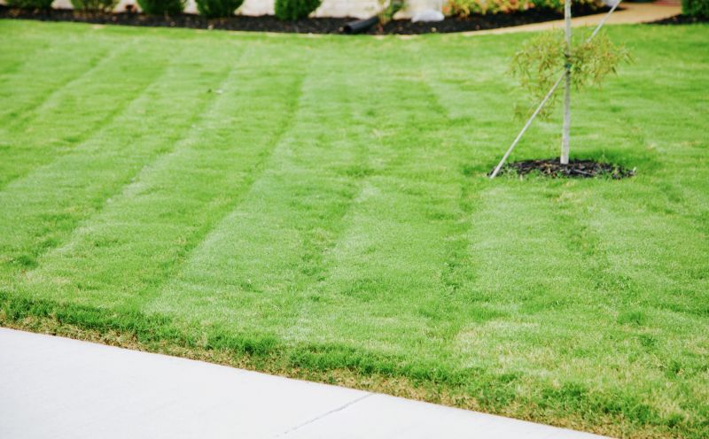 Bluegrass Sod Installation in Honolulu, HI