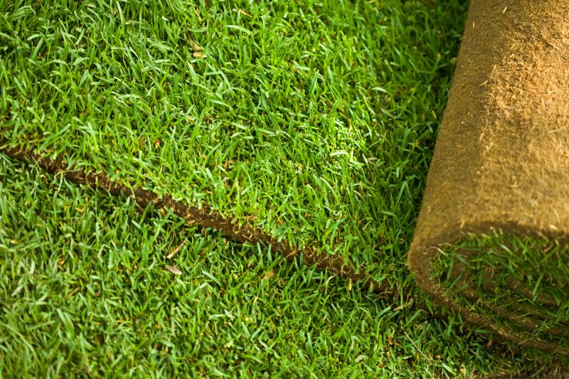 Commercial Sod Installation in Honolulu, HI