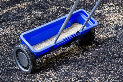 Cost of Lawn Seeding — Cost of Lawn Seeding