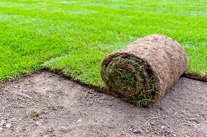 Fescue Sod Installation in Aiken, SC
