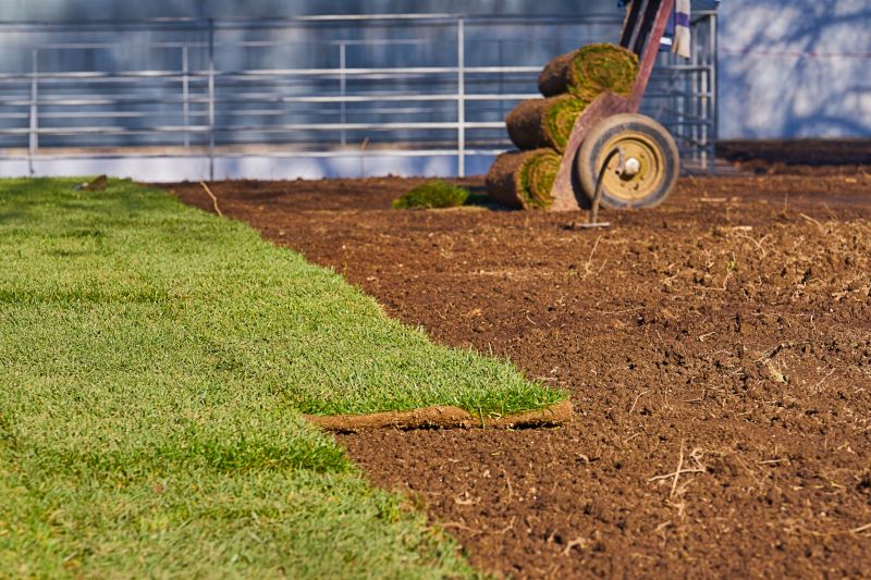 Fescue Sod Installation in Aiken, SC