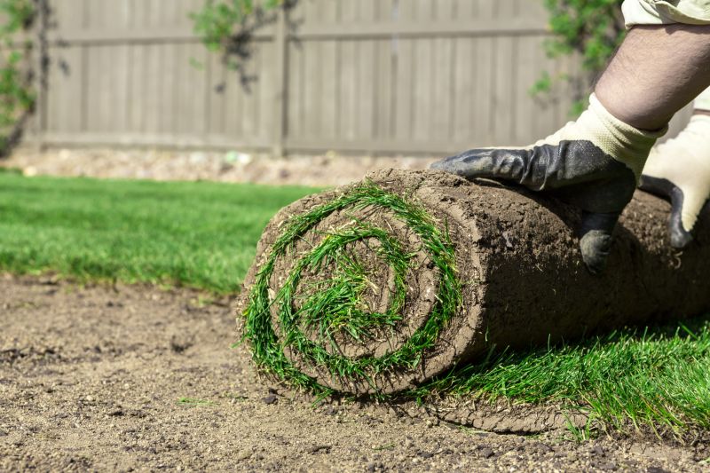 Fescue Sod Installation in Honolulu, HI