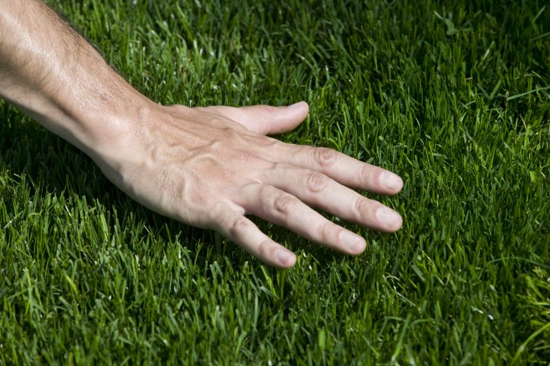 Grass Installation in Aiken, SC