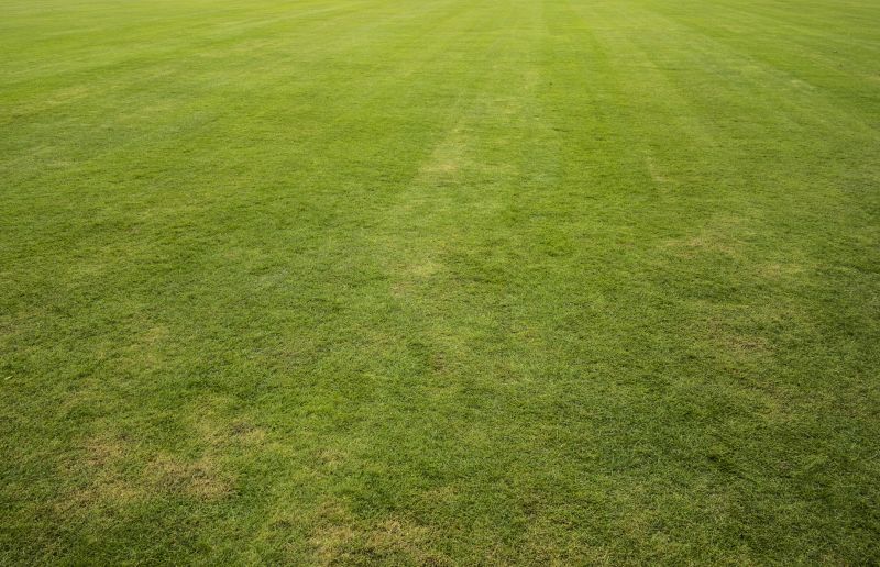 Grass Installation in Ventura County, CA