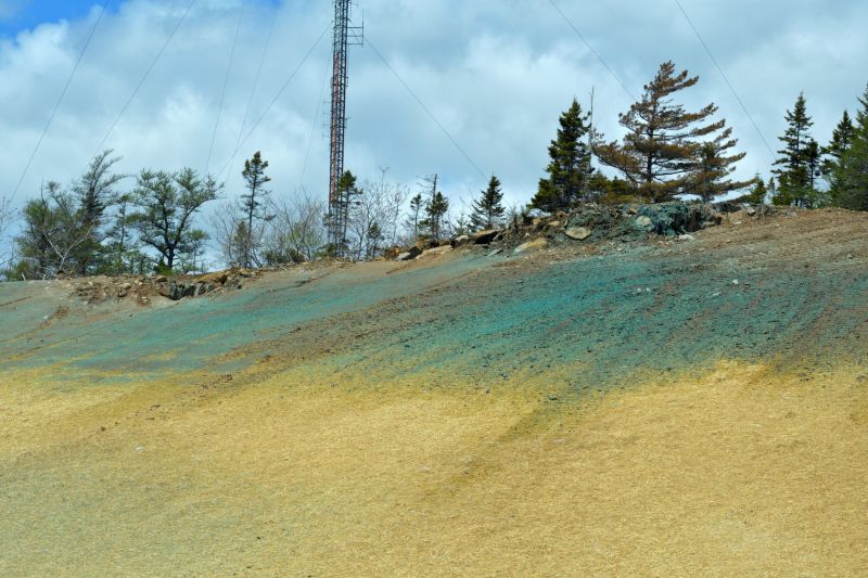 Hill Hydroseeding in Ventura County, CA