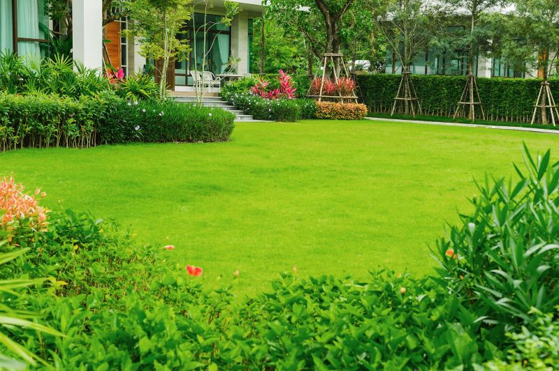 Lawn Replacement in Rockwall, TX