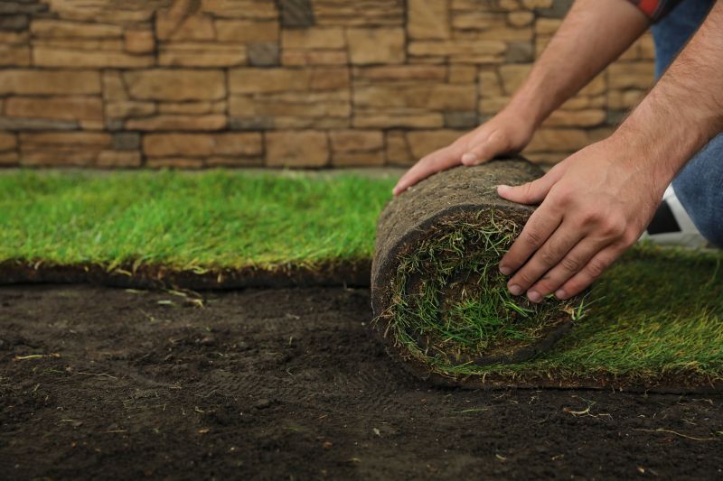 Lawn Sodding in Ventura County, CA