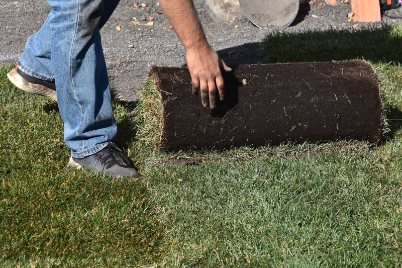 Lawn Sodding in Aiken, SC