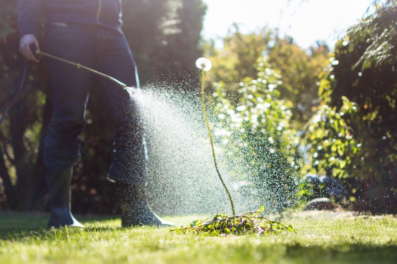 Lawn Spraying in Rockwall, TX