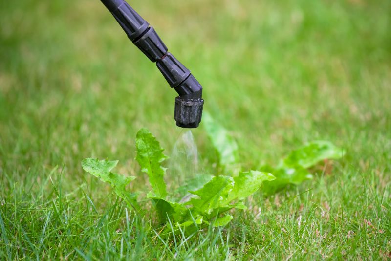 Lawn Weed Control in Rockwall, TX
