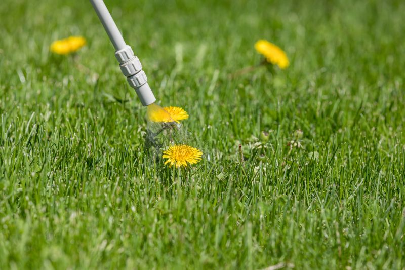Lawn Weed Treatment in Honolulu, HI