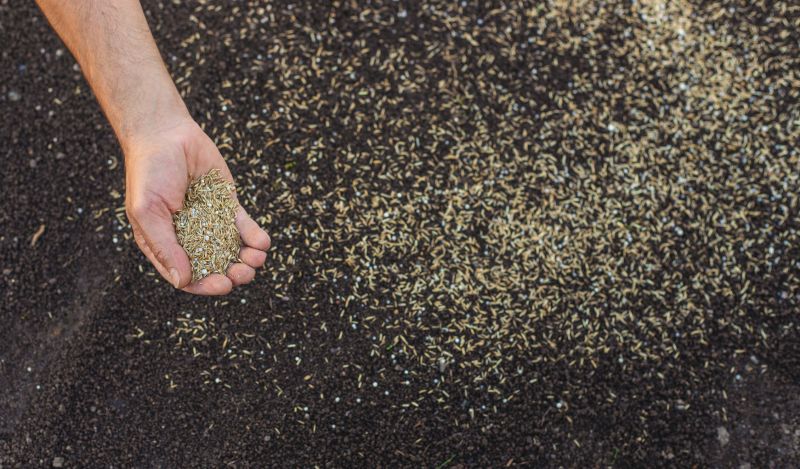 Residential Lawn Seeding in Ventura County, CA