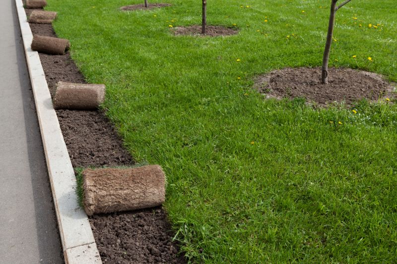 Ryegrass Sod Installation in Ventura County, CA