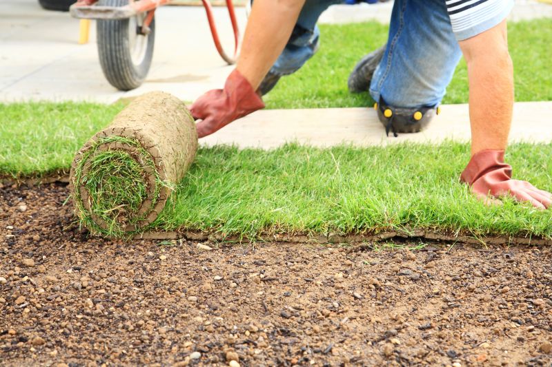 Ryegrass Sod Installation in Rockwall, TX