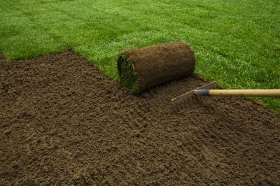 Sod Installation in Ventura County, CA