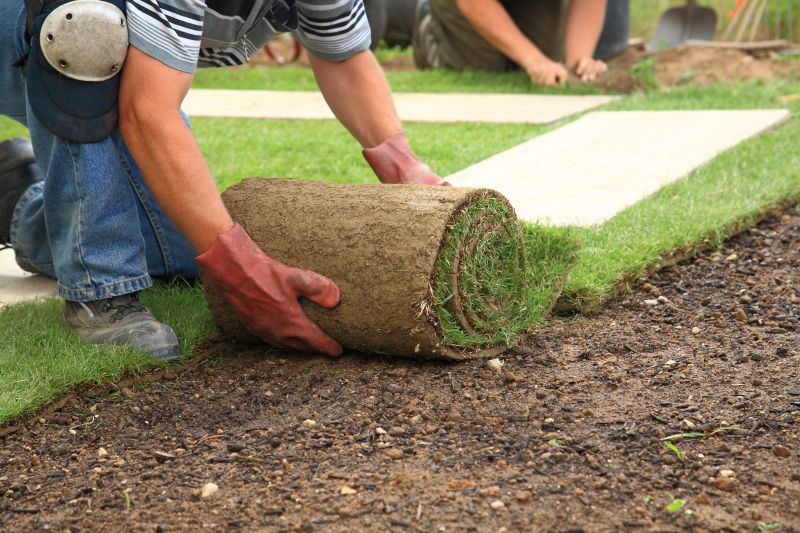 Sod Installation in Aiken, SC