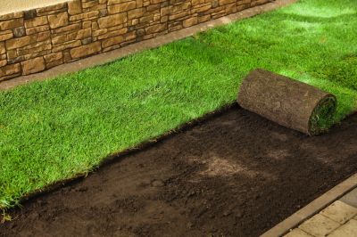 Sod Landscaping in Rockwall, TX