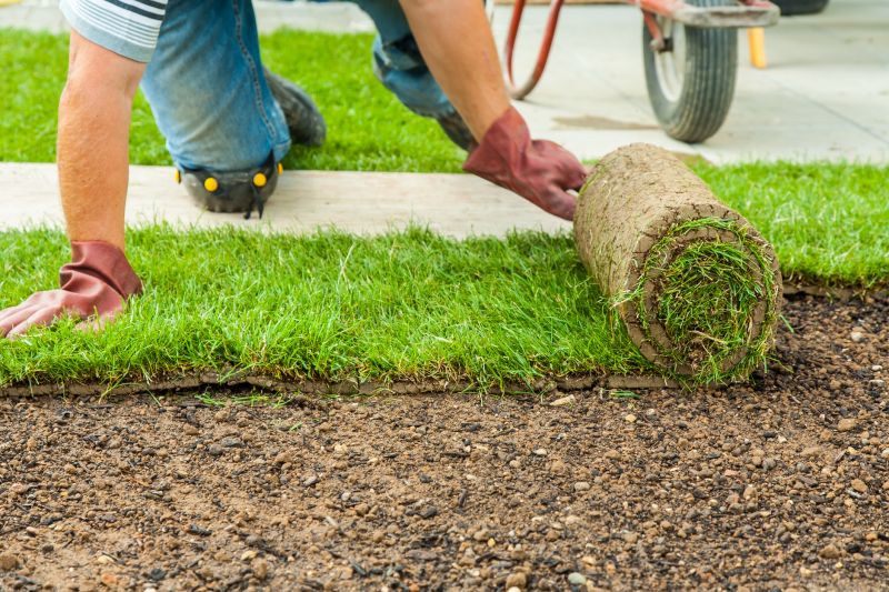 Sod Replacement in Ventura County, CA