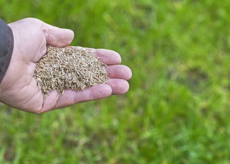 Spring Grass Seeding in Ventura County, CA