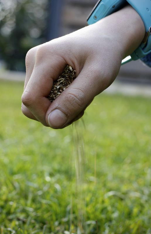Spring Grass Seeding in Ventura County, CA