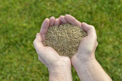 Independent Lawn Technicians