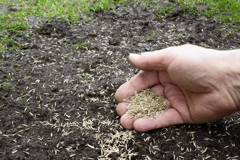 Yard Overseeding in Ventura County, CA